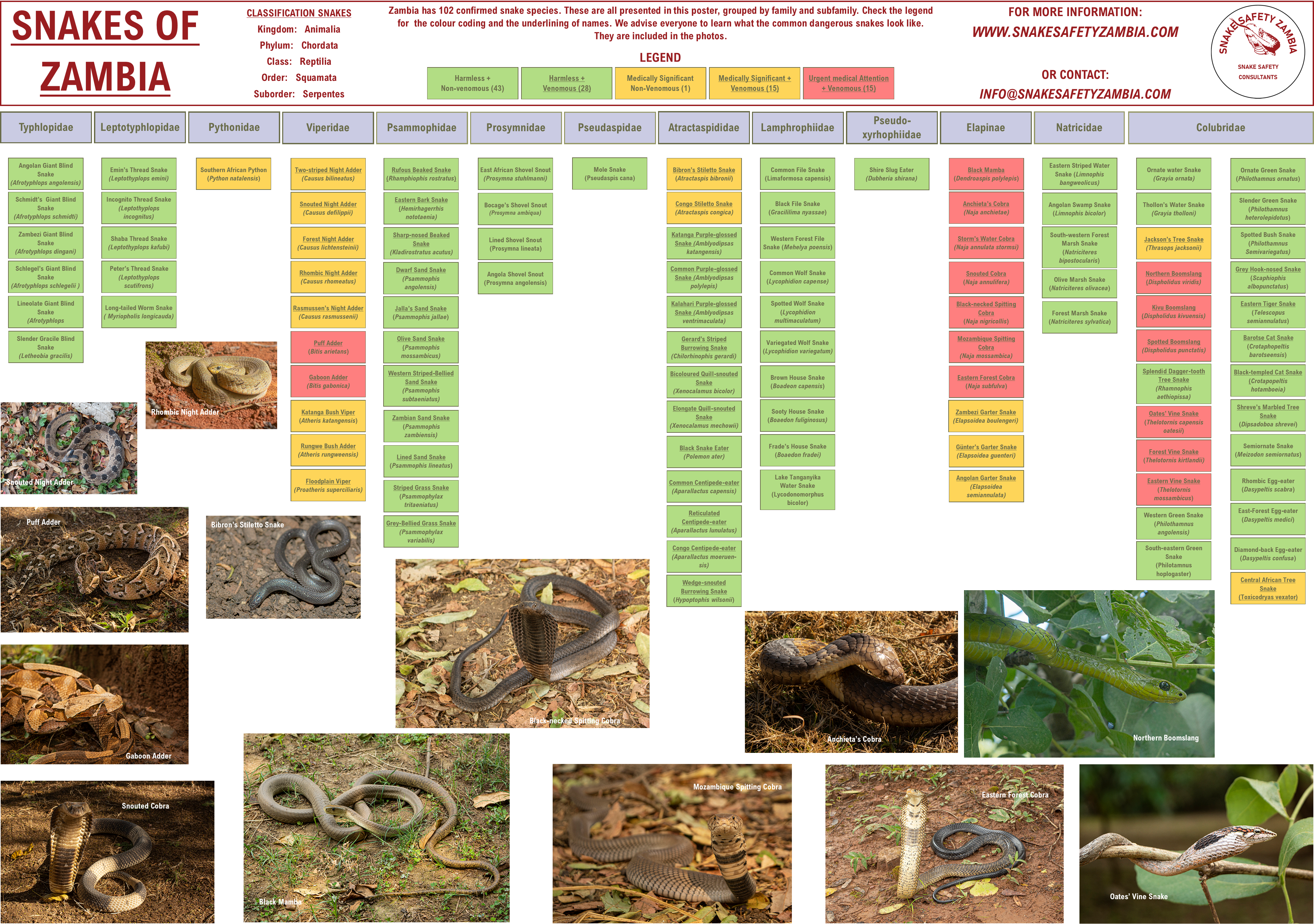 Information Posters Snake Safety Zambia Information Posters Snake Safety Zambia